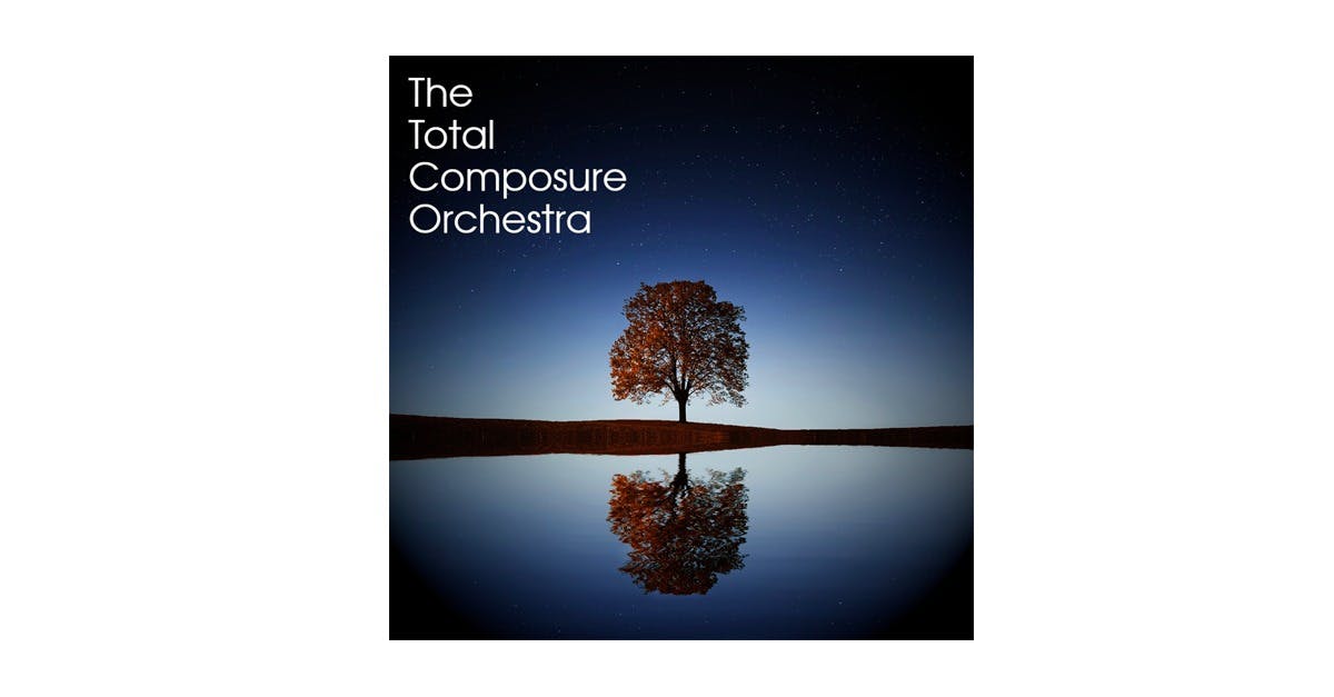 the total composure orchestra VST